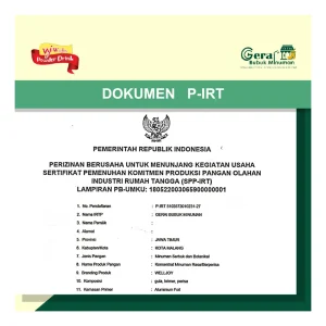 dokumen-pirt